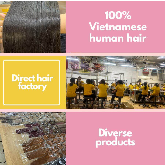 Vin Hair Vendor - a formidable competitor in the Vietnamese hair market